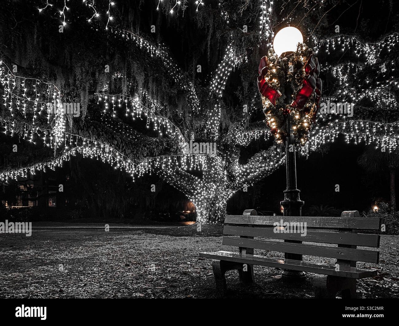 Eichbaum geschmückt mit Weihnachtsbeleuchtung, Jekyll Island, Georgia, USA. Stockfoto