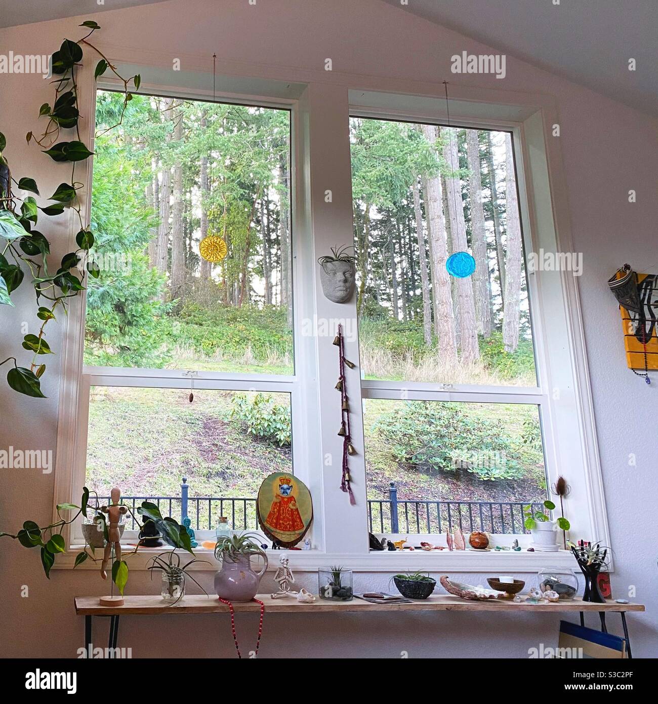 Fenster mit Blick auf einen Wald. Stockfoto