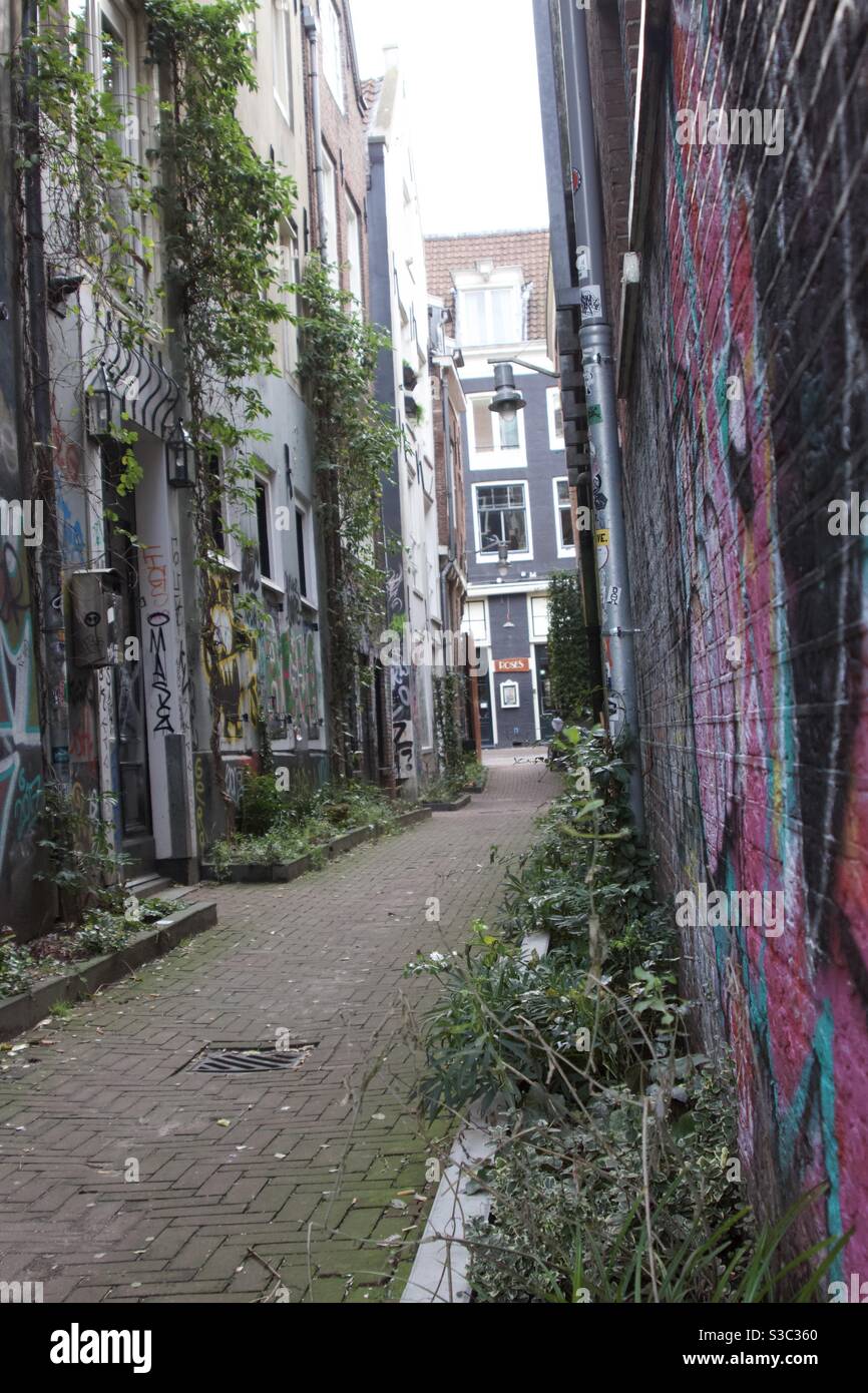 Schmale Straße in Amsterdam mit Graffiti-Gemälden auf allen Gebäude Stockfoto