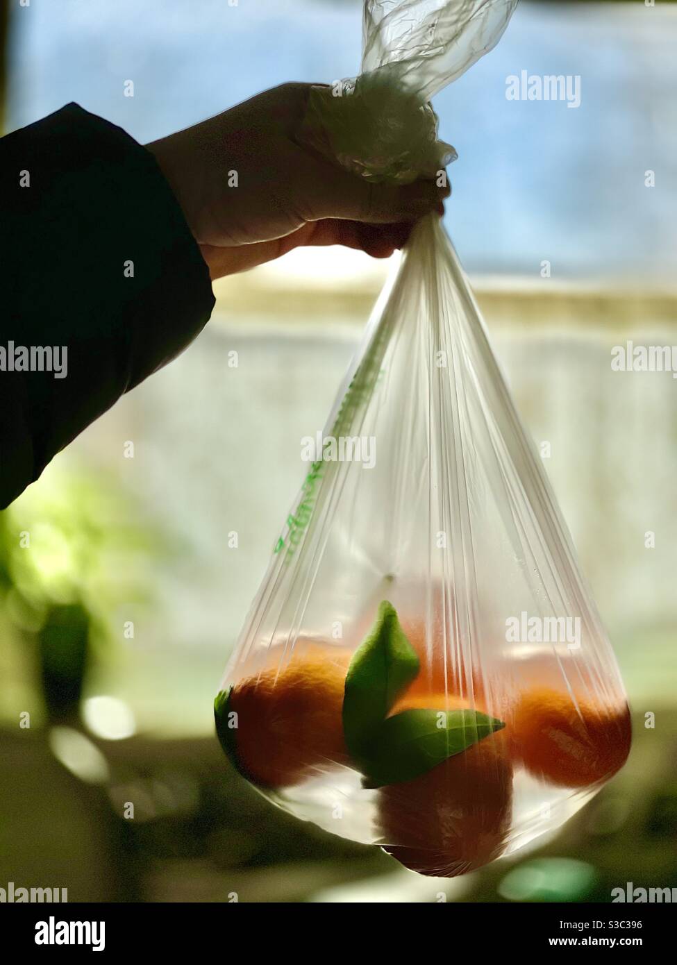 Die Hand der Frau hält einen Plastikbeutel mit Orangen - Smartphone-aufgenommenes Stockfoto