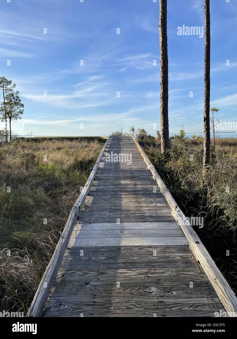 Alte Holzbrücke über Naturschutzgebiet führt zum Choctawhatchee Bay Stockfoto