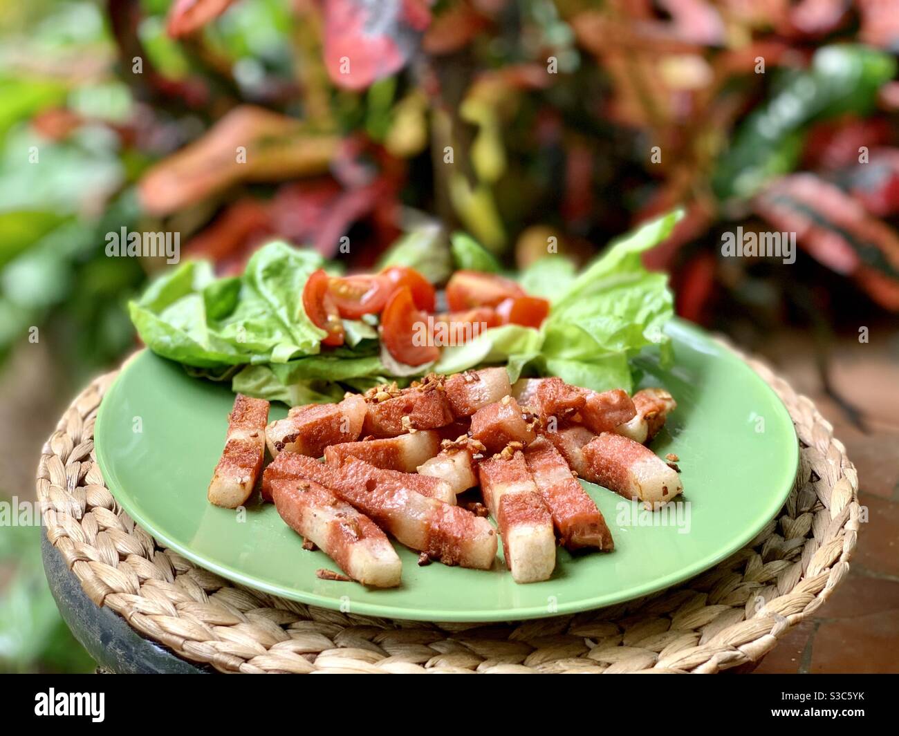 Vegetarisches Fleisch und Salate für Vegetarier Stockfoto