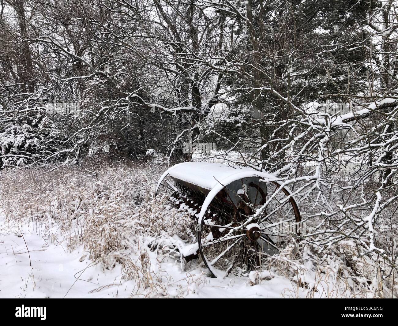 Antike landwirtschaftliche Ausrüstung in der verschneiten Holzlinie Stockfoto