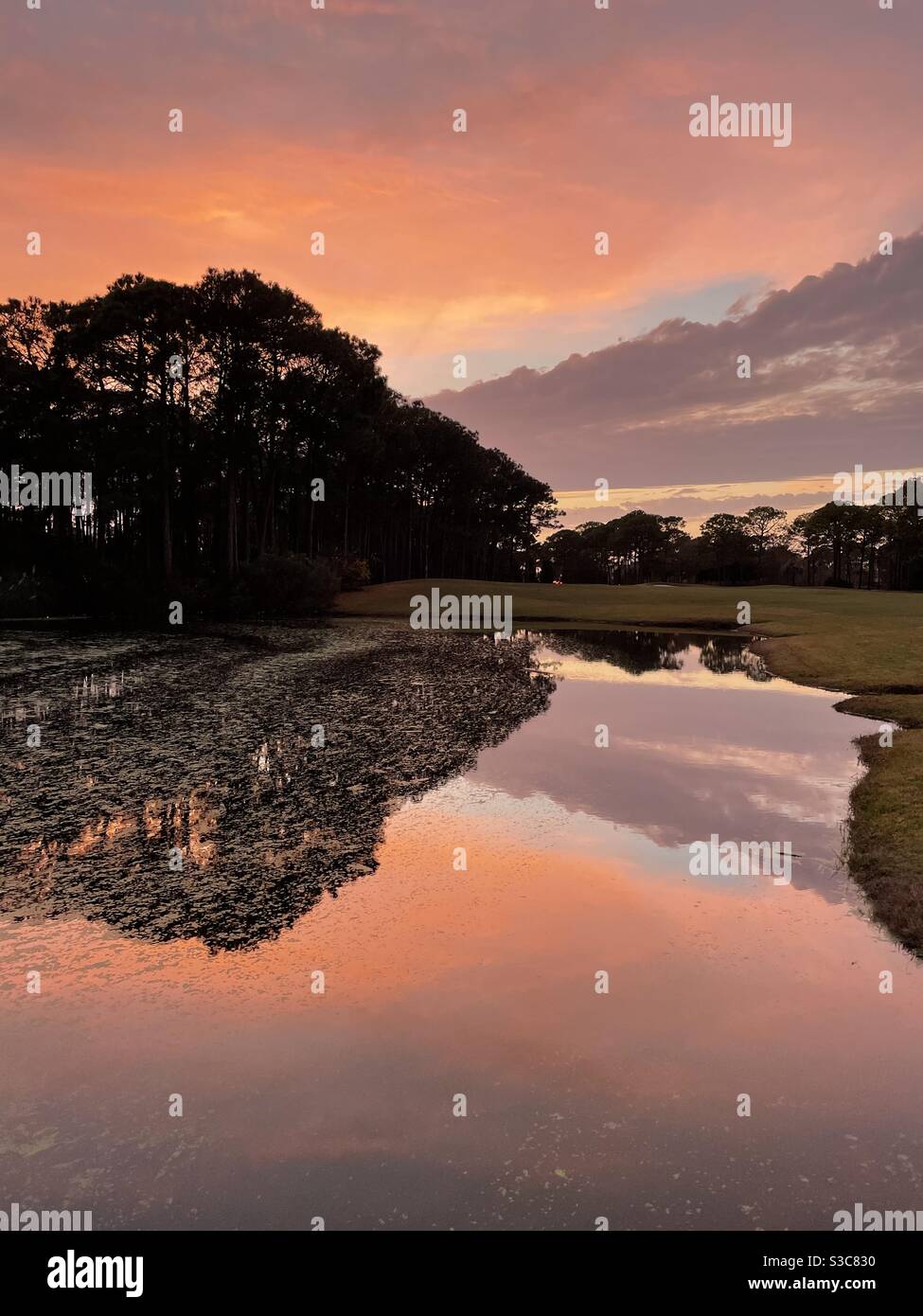 Farbenfrohe Sonnenuntergangshimmel, die sich auf einen Teich mit Wasser spiegeln Silhouettenbäume Stockfoto