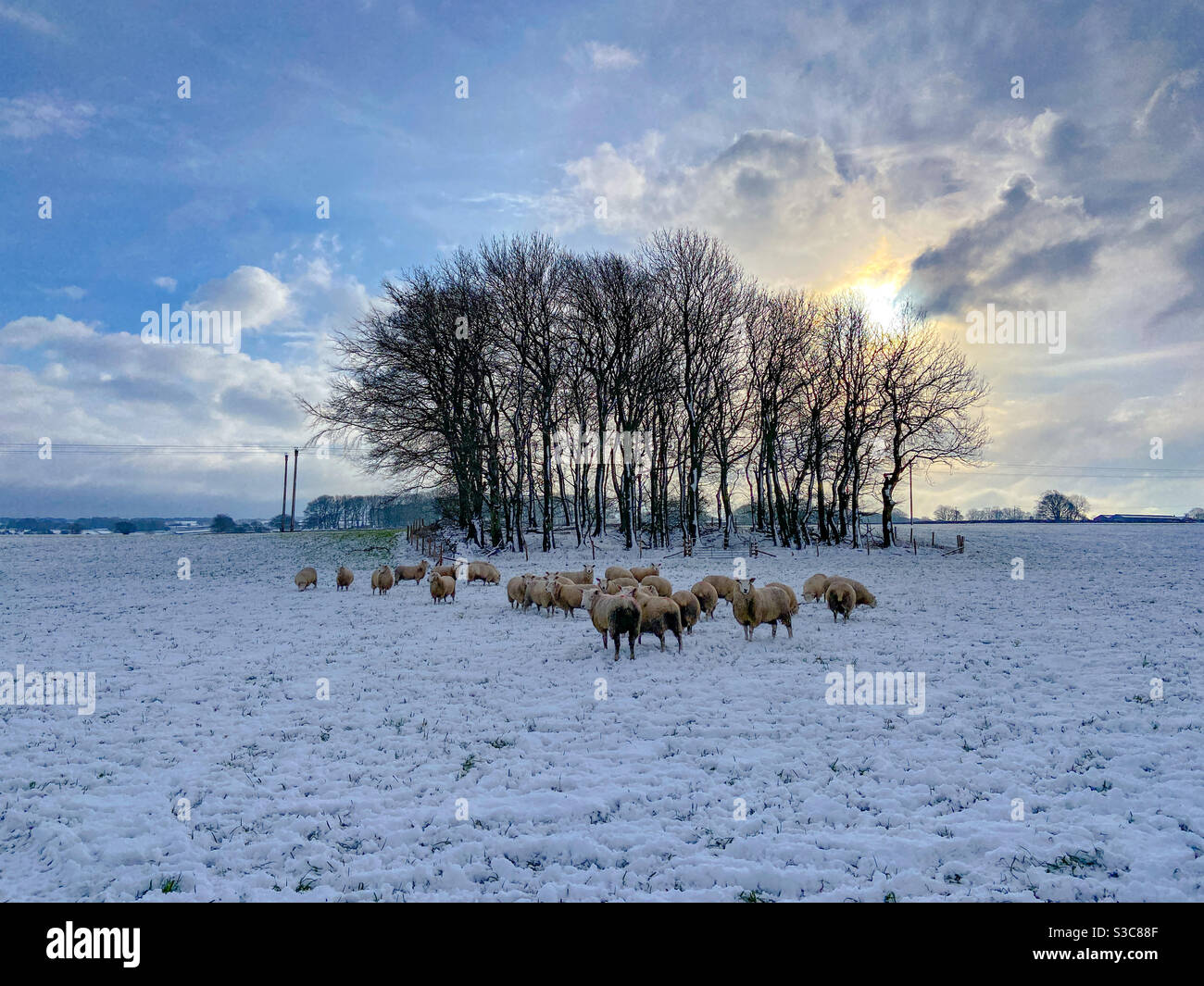 Winterwanderungen Stockfoto