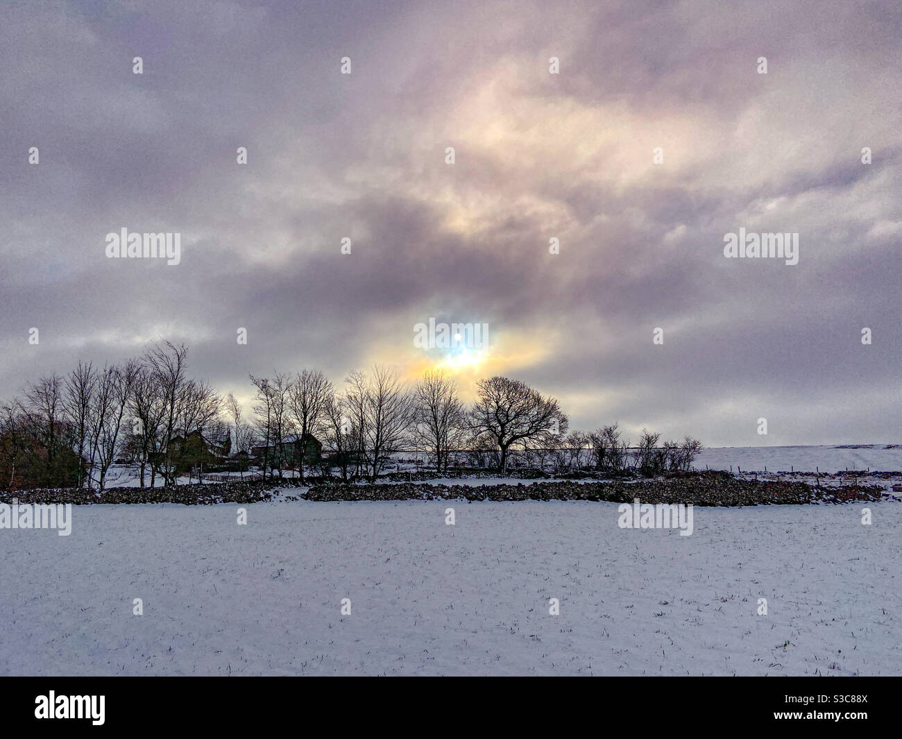 Winterwanderungen - Smartphone-aufgenommenes Stockfoto