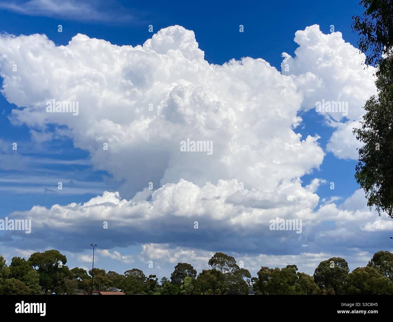 Helle aufragende Kumuluswolke, die sich über dem Bally Shannassy Park in Melbourne entwickelt. Stockfoto