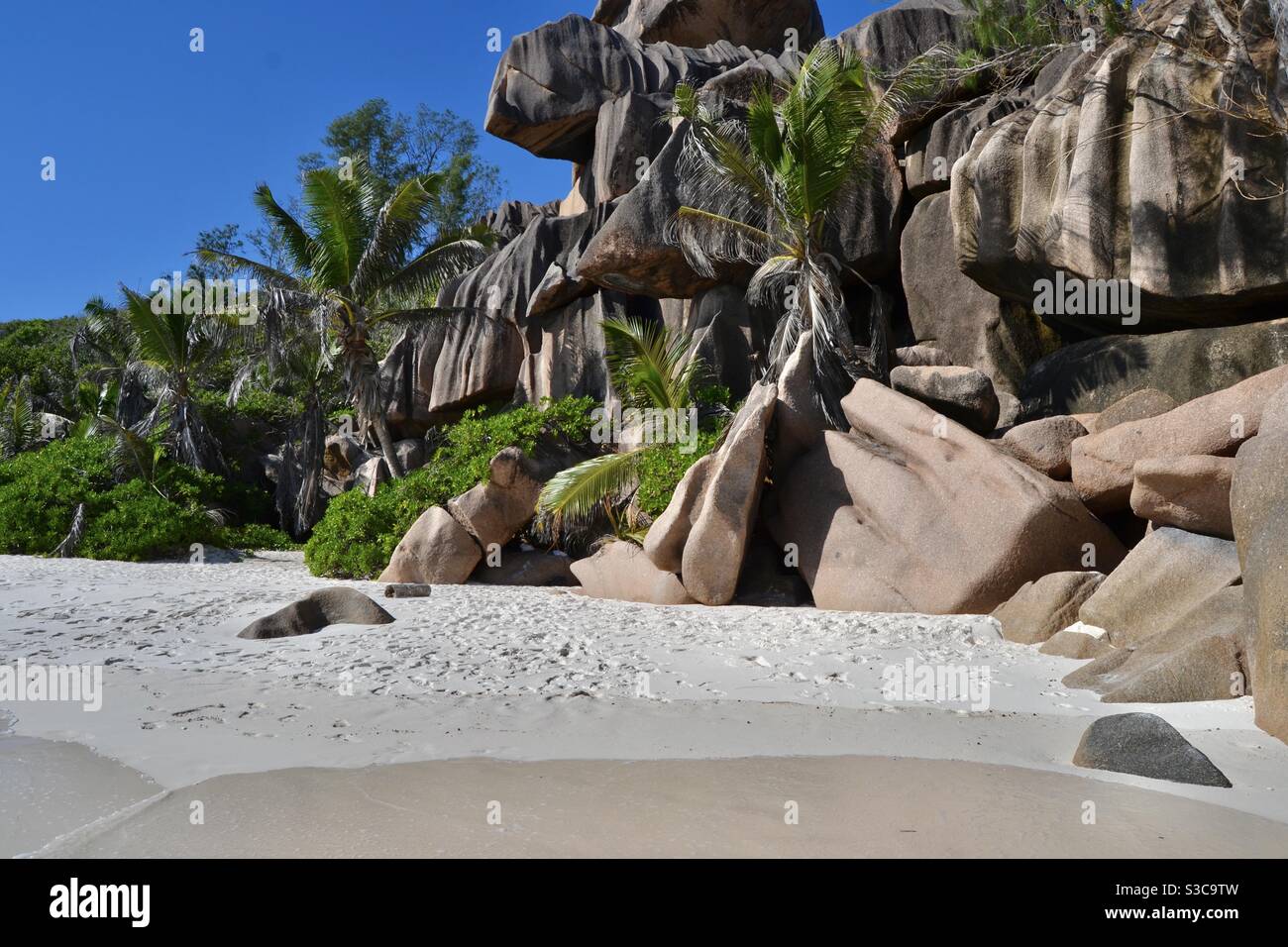 Magischer und idyllischer tropischer Strand im exotischen Paradies La digue mit Palmen, Sand und Felsbrocken auf den Seychellen bei strahlendem Sommersonnenschein. Stockfoto