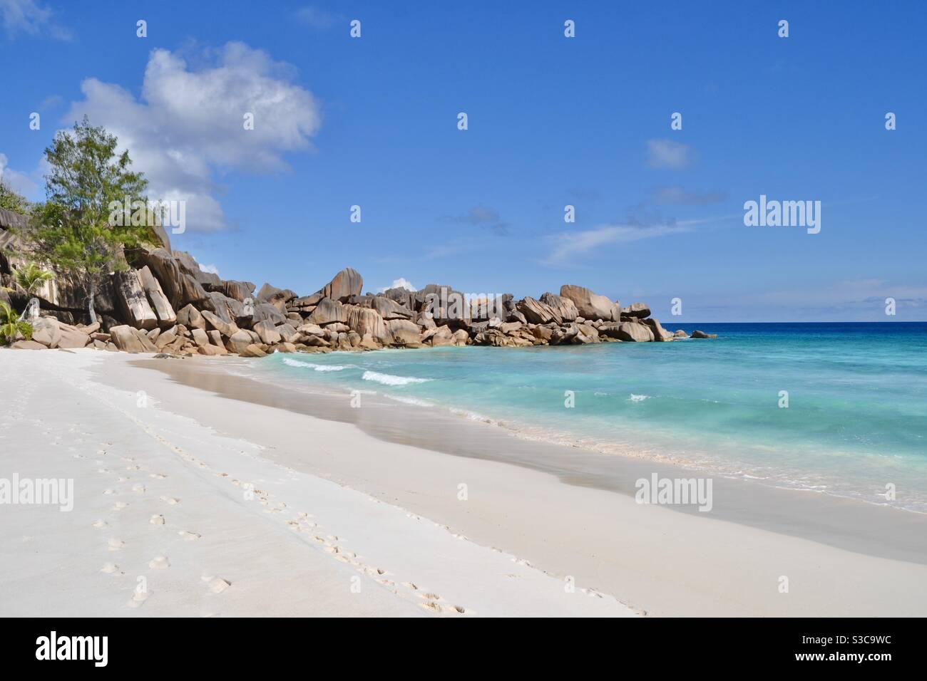 Magischer und idyllischer tropischer Strand im exotischen Paradies von la digue mit Bäumen, Sand, türkisfarbenem Meer und Felsbrocken auf den luxuriösen Seychellen bei strahlendem Sommersonnenschein. Stockfoto