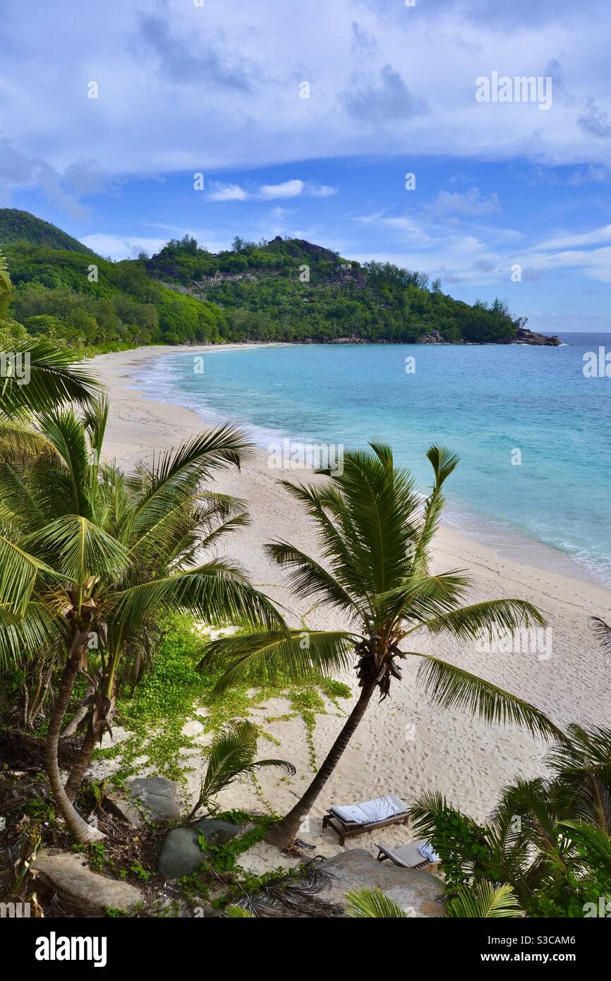 Der schönste Strand der Welt, ultra Luxus wunderschöner Sandstrand mit türkisfarbenem, kristallklarem Indischen Ozean, das von tropischen und exotischen Palmen mit Kokosnüssen auf den Seychellen gespeist wird Stockfoto