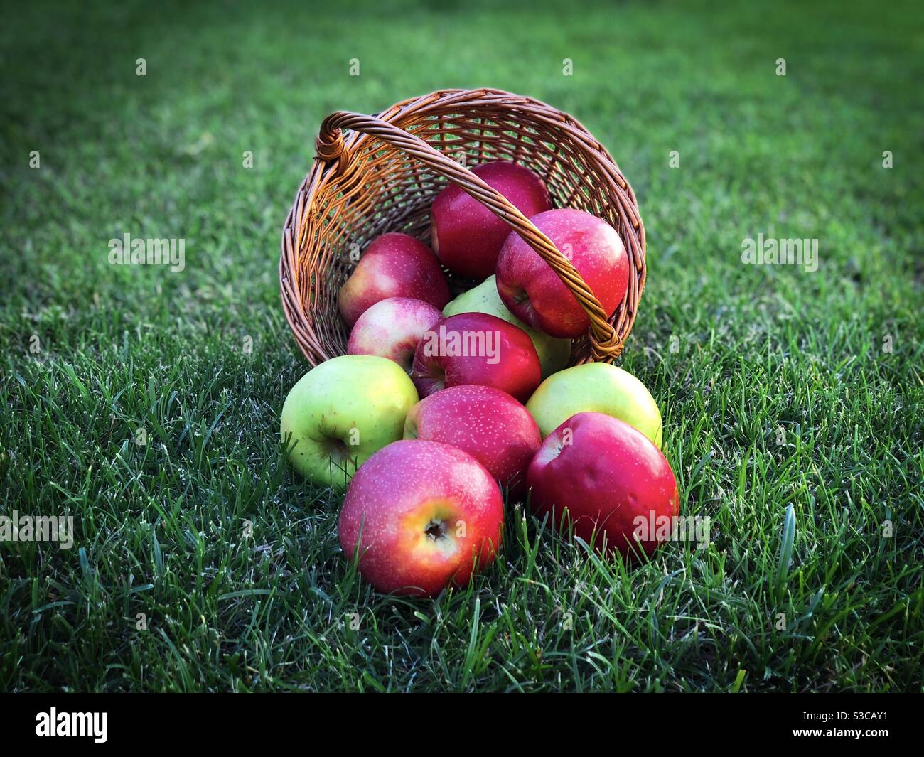 Rote und gelbe Äpfel in einem verschütteten Holzkorb Stockfoto