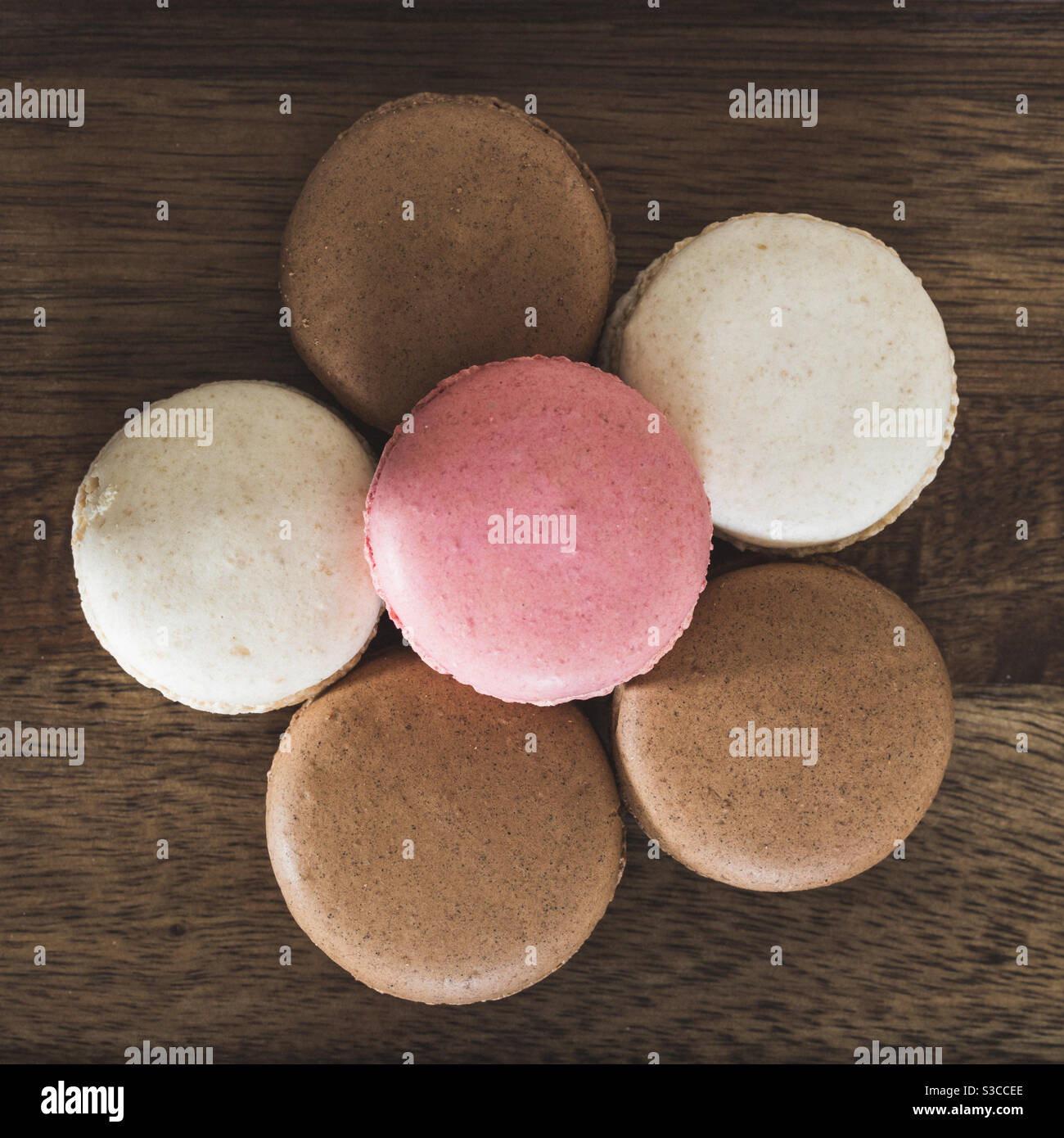 Bunte hausgemachte französische Makronen oder Makronen von oben angeordnet Eine Blumenform in einem Lebensmittelhintergrund mit Kopierraum Stockfoto