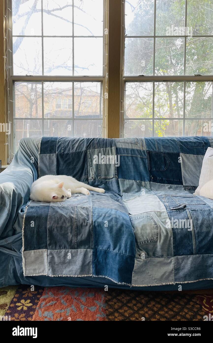 Katze schläft auf Denim Slip bezogene Couch. Stockfoto
