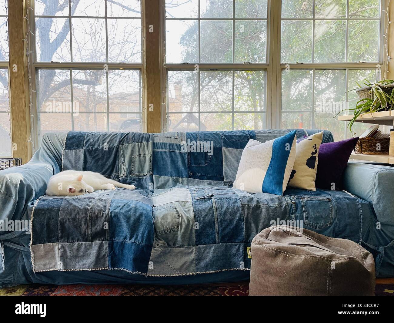 Katze schläft auf Denim Quilt Slipcovered Couch. Stockfoto