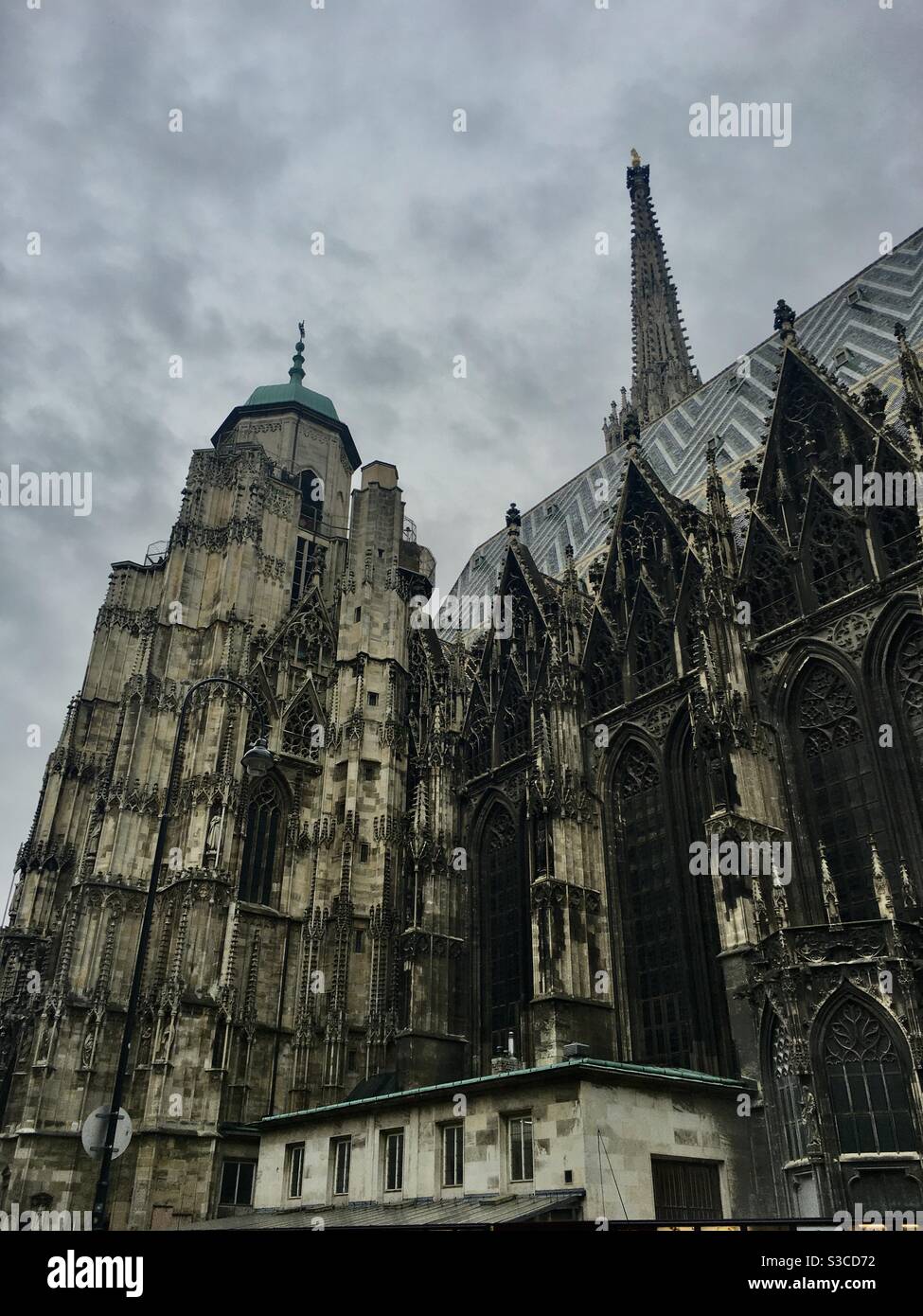 Stephansdom in Wien, Österreich 2019. Stockfoto