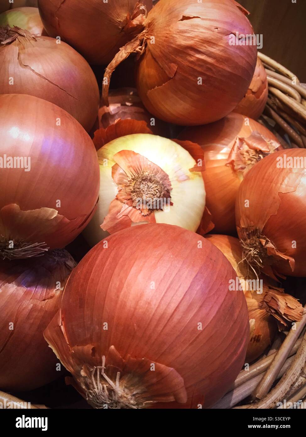 Korb von rohen Zwiebeln zum Verkauf in einem Bauernmarkt, USA Stockfoto