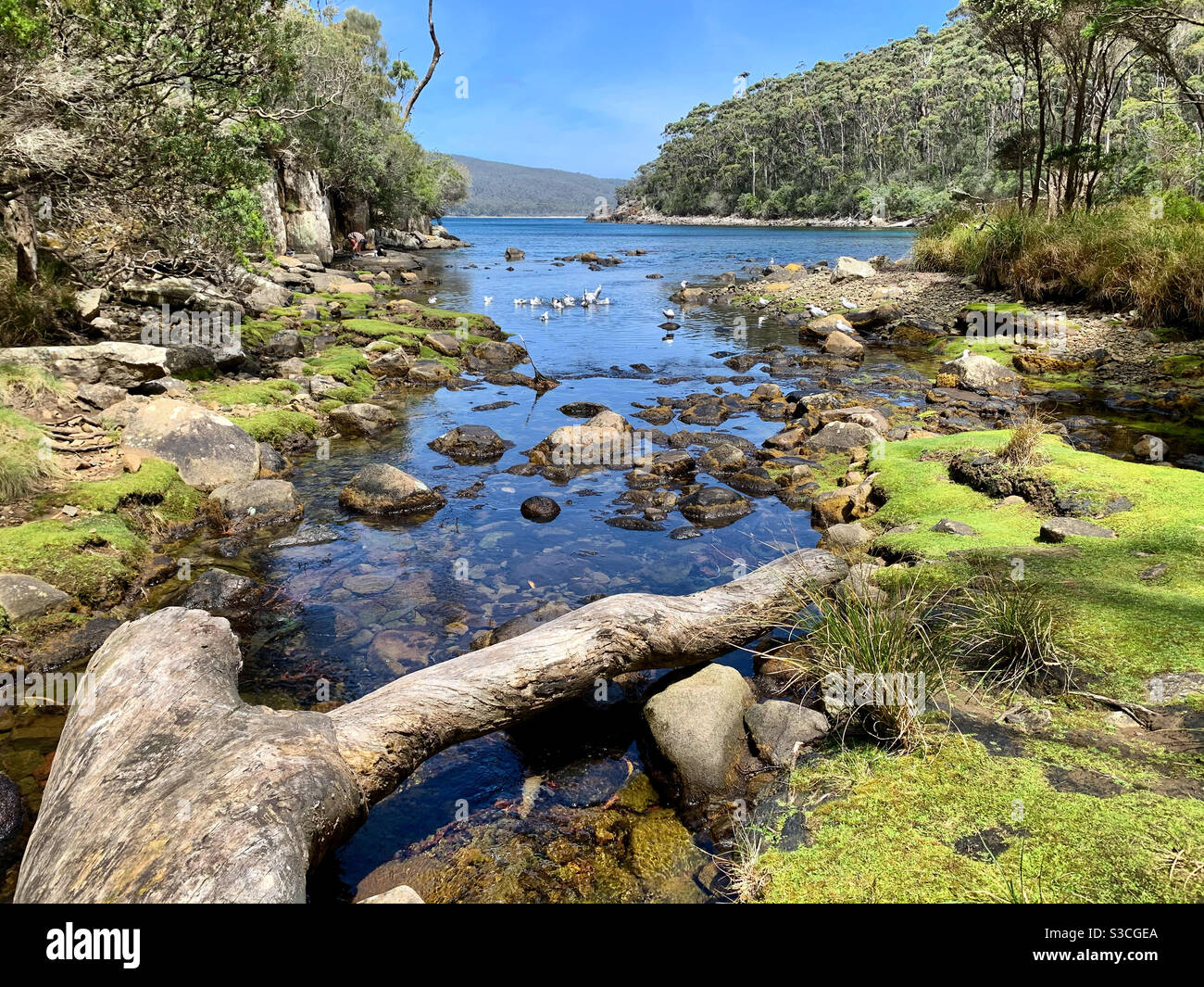 Biwak Bay Stockfoto