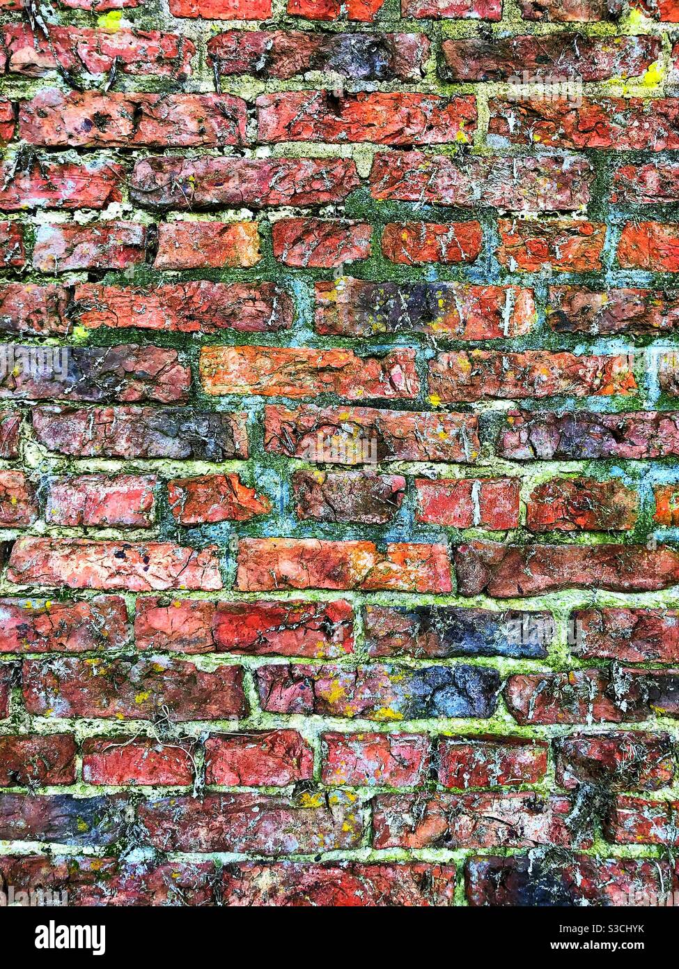 Abgenutzte und verwitterte rote Ziegelwand mit buntem Moos Ein strukturierter Hintergrund mit Kopierbereich - Smartphone-aufgenommenes Stockfoto