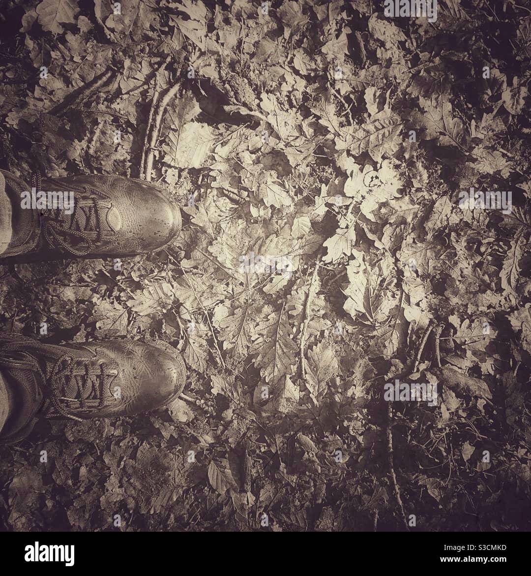 Ein Foto von Füßen auf Herbstblättern. Schwarzweiß-Foto. Wandern im Freien, Wandern. Stockfoto