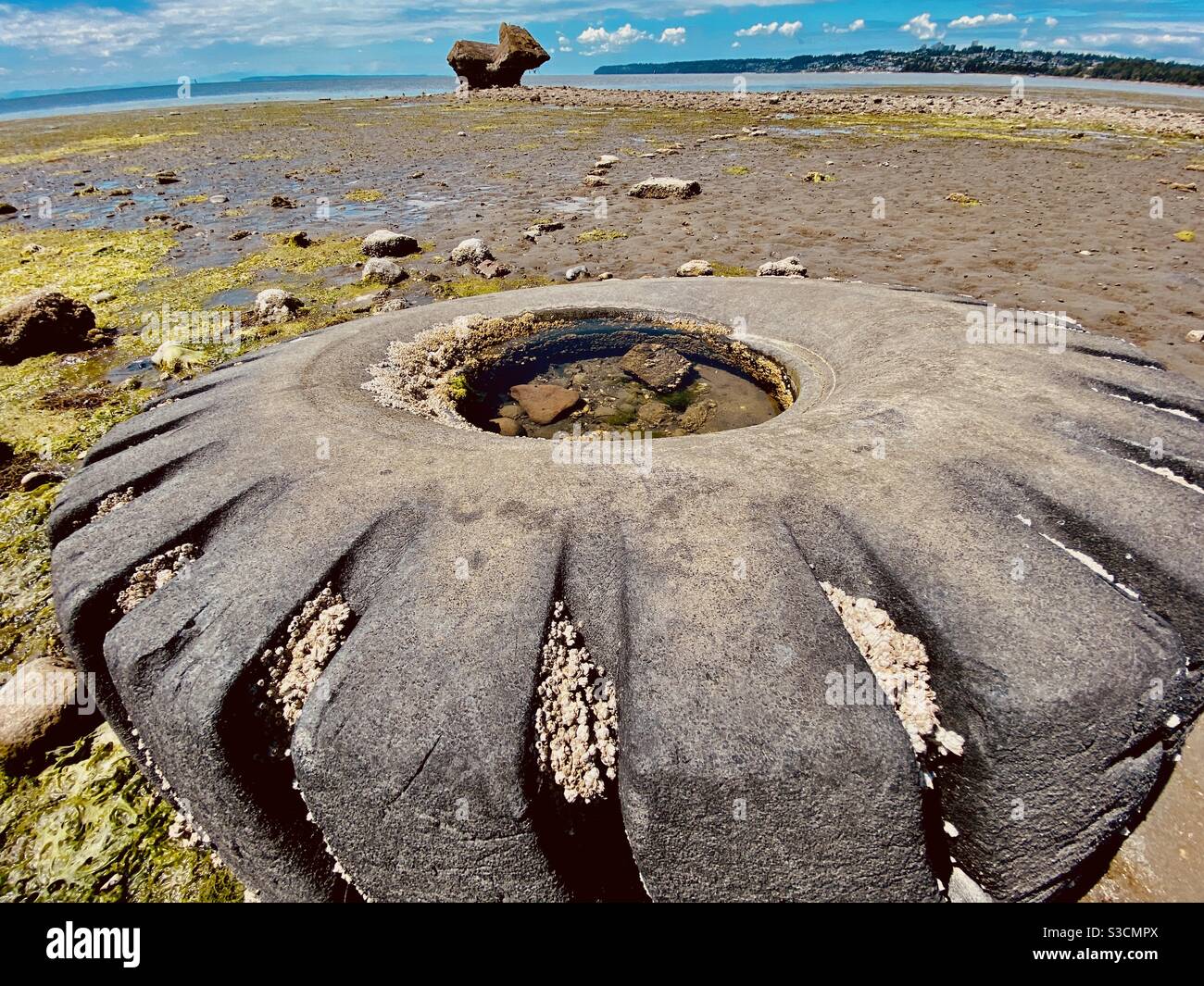 Alte Reifen an Land gewaschen in Drayton Harbor, Blaine, Washington, USA - Smartphone-aufgenommenes Stockfoto