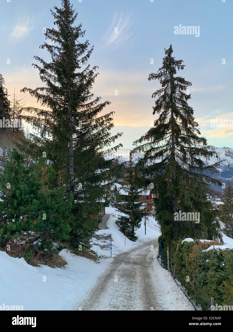 Alpine Bäume und Weg auf Schnee Berg Stockfoto