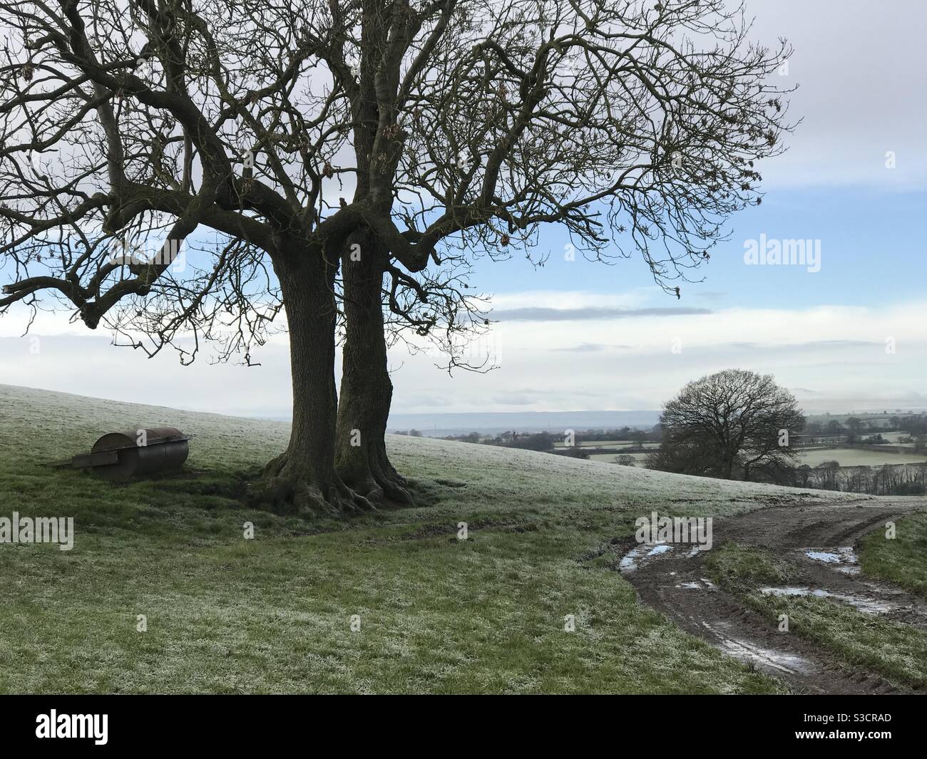 UK Wetter: Yearsley, North Yorkshire, England, UK. 23. Januar 2021 - Frostiger Morgen auf lokaler Wanderung über Felder. - Smartphone-aufgenommenes Stockfoto