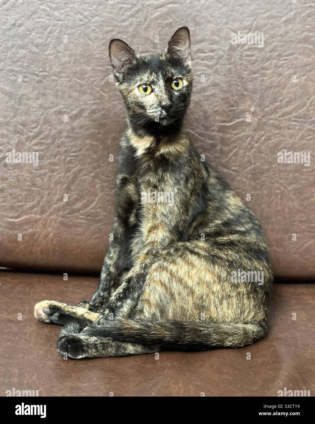 was schaust du Stockfoto