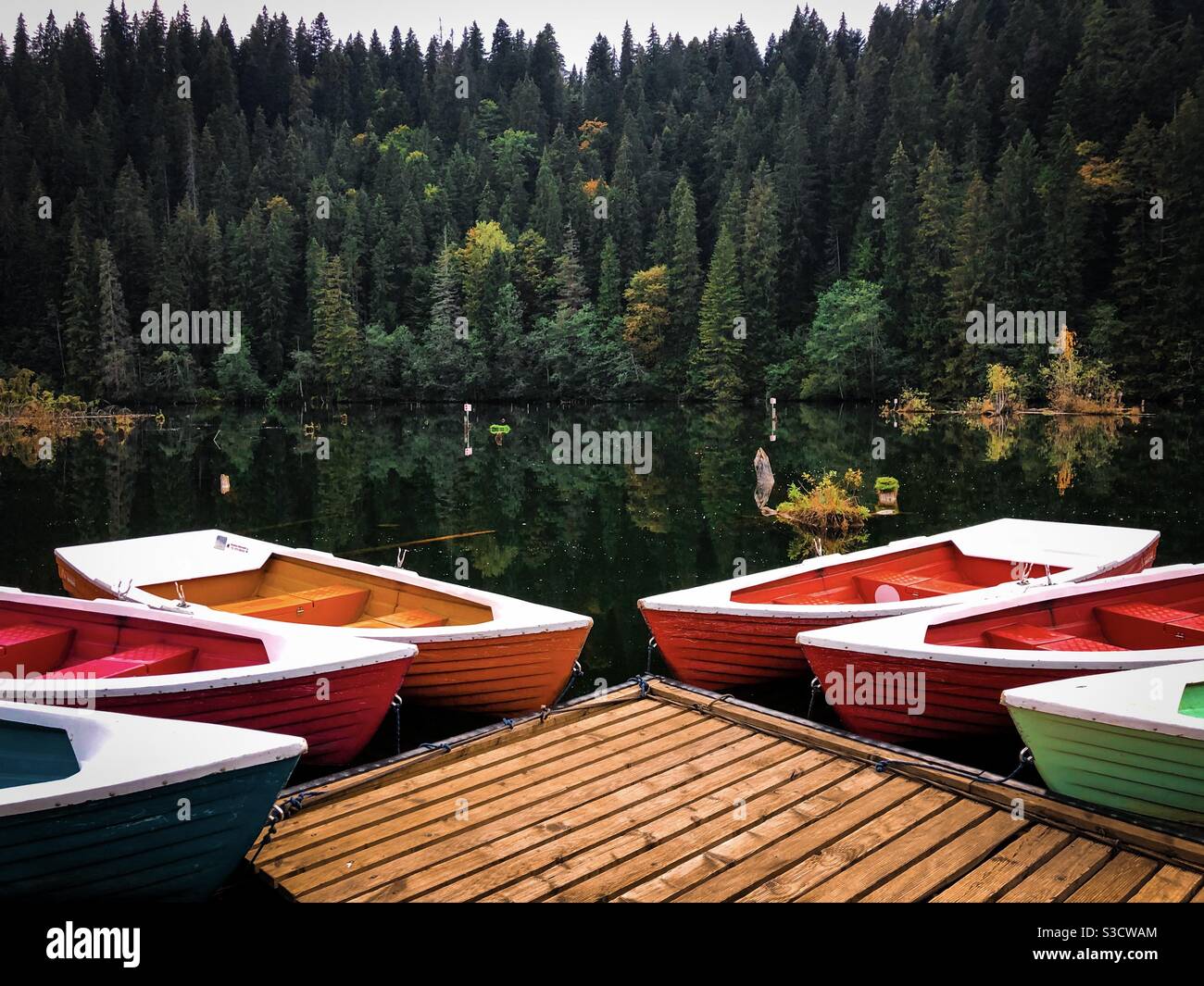 Bunte Holzboote auf dem See - Smartphone-aufgenommenes Stockfoto