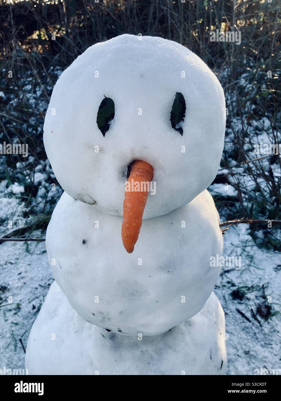 Schneemann aus nächster Nähe mit Karotte für Nase und Blattaugen Stockfoto