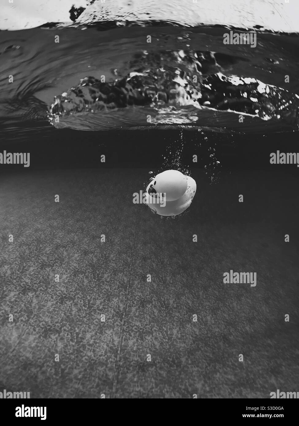 Gummiducky unter Wasser in schwarz und weiß getaucht. Stockfoto