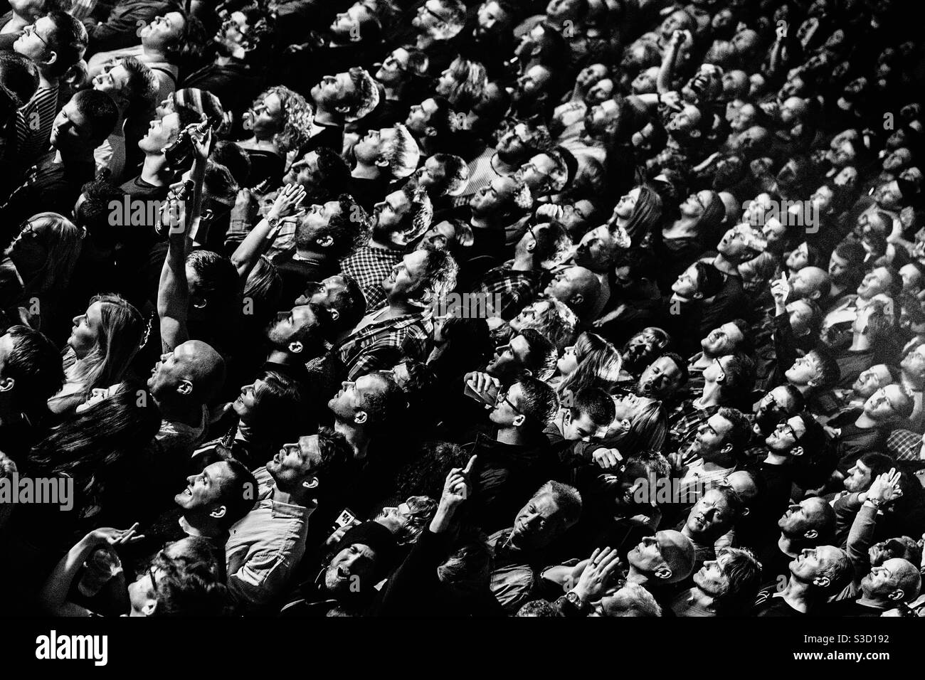 Schwarz-Weiß-Foto einer Menge, die eine Musik genießt Konzert Stockfoto