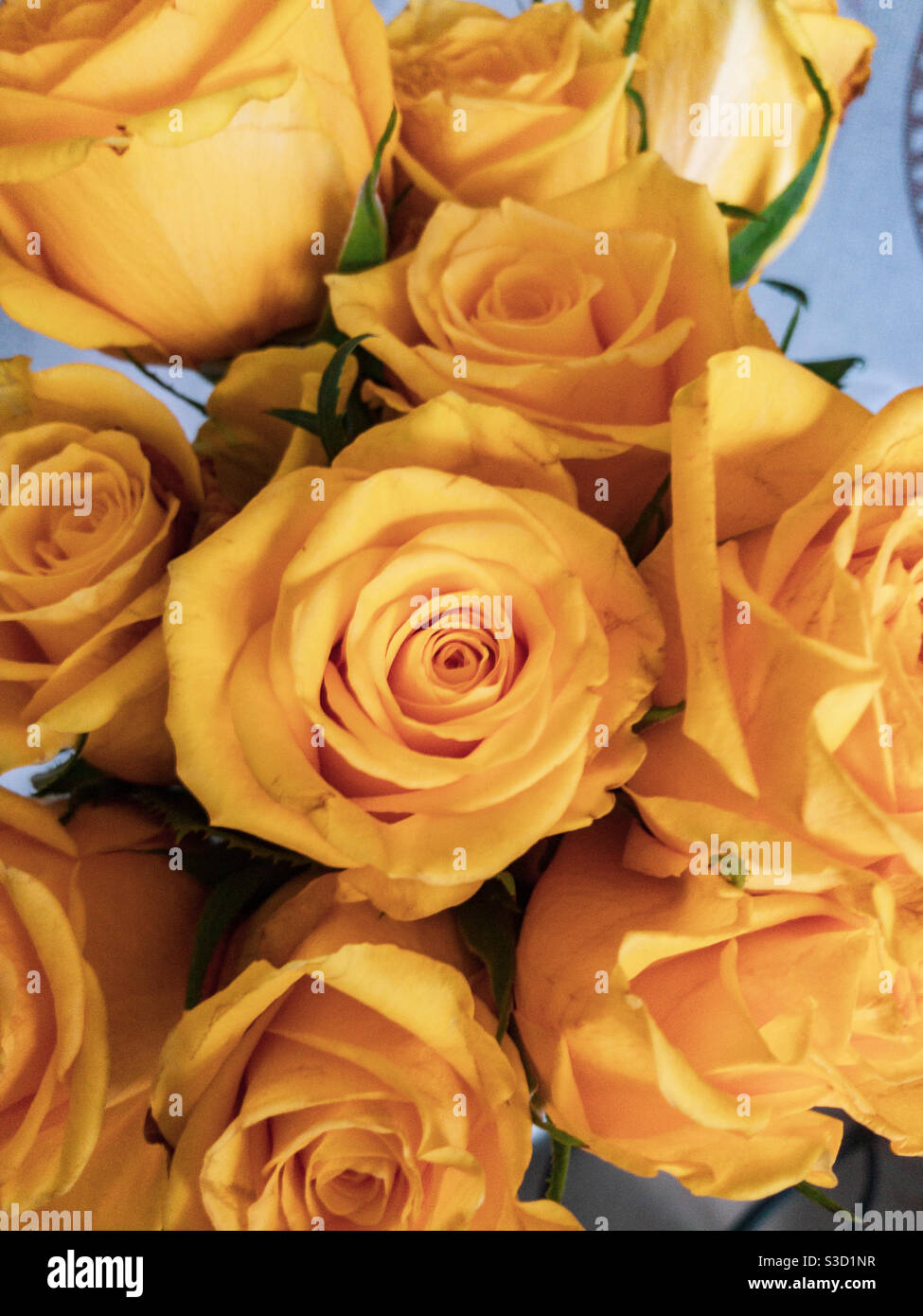 Nahaufnahme eines Strauß gelber Rosen. - Smartphone-aufgenommenes Stockfoto