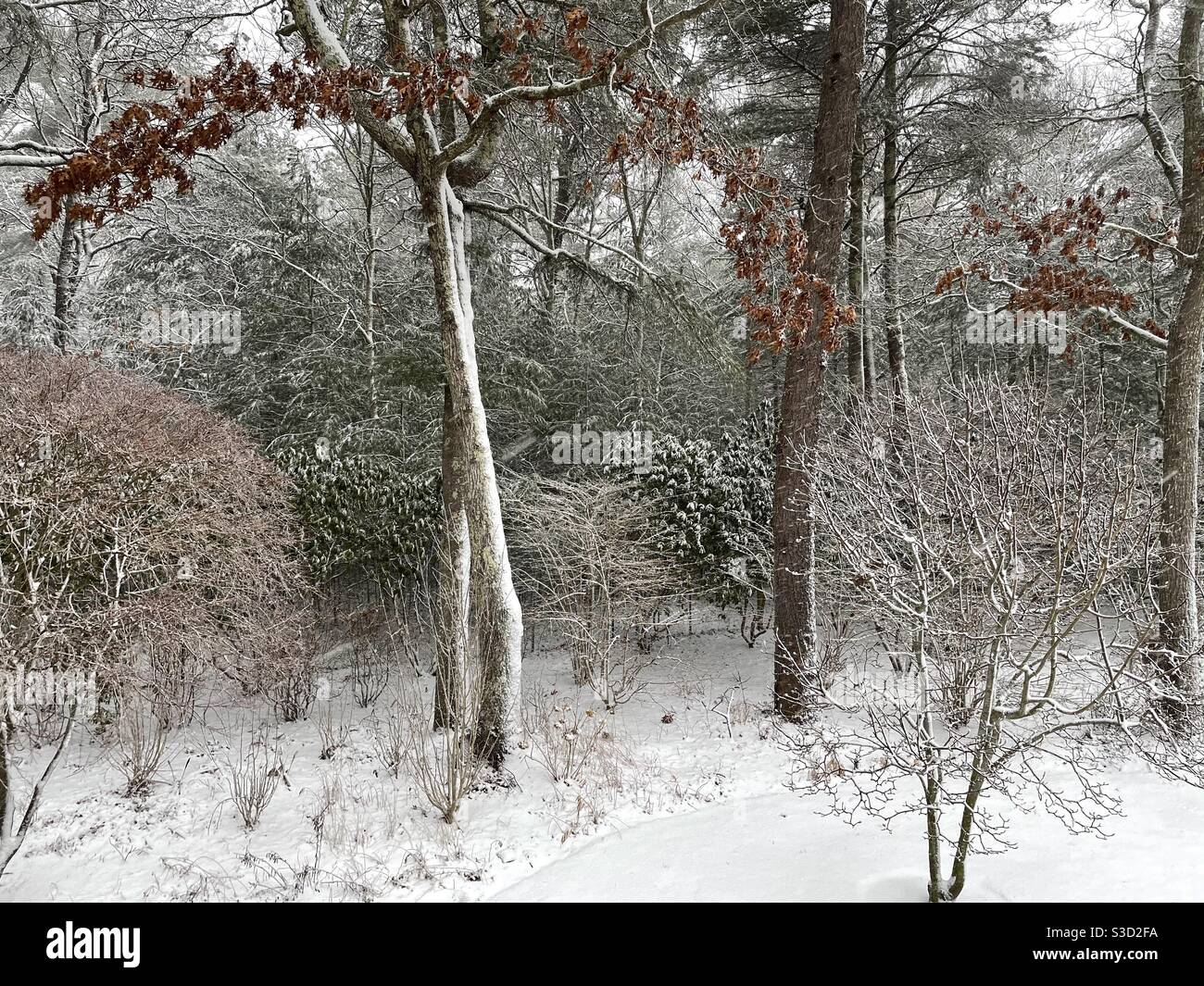 Schneesturm im Bundesstaat New York im Februar 2021 Stockfoto