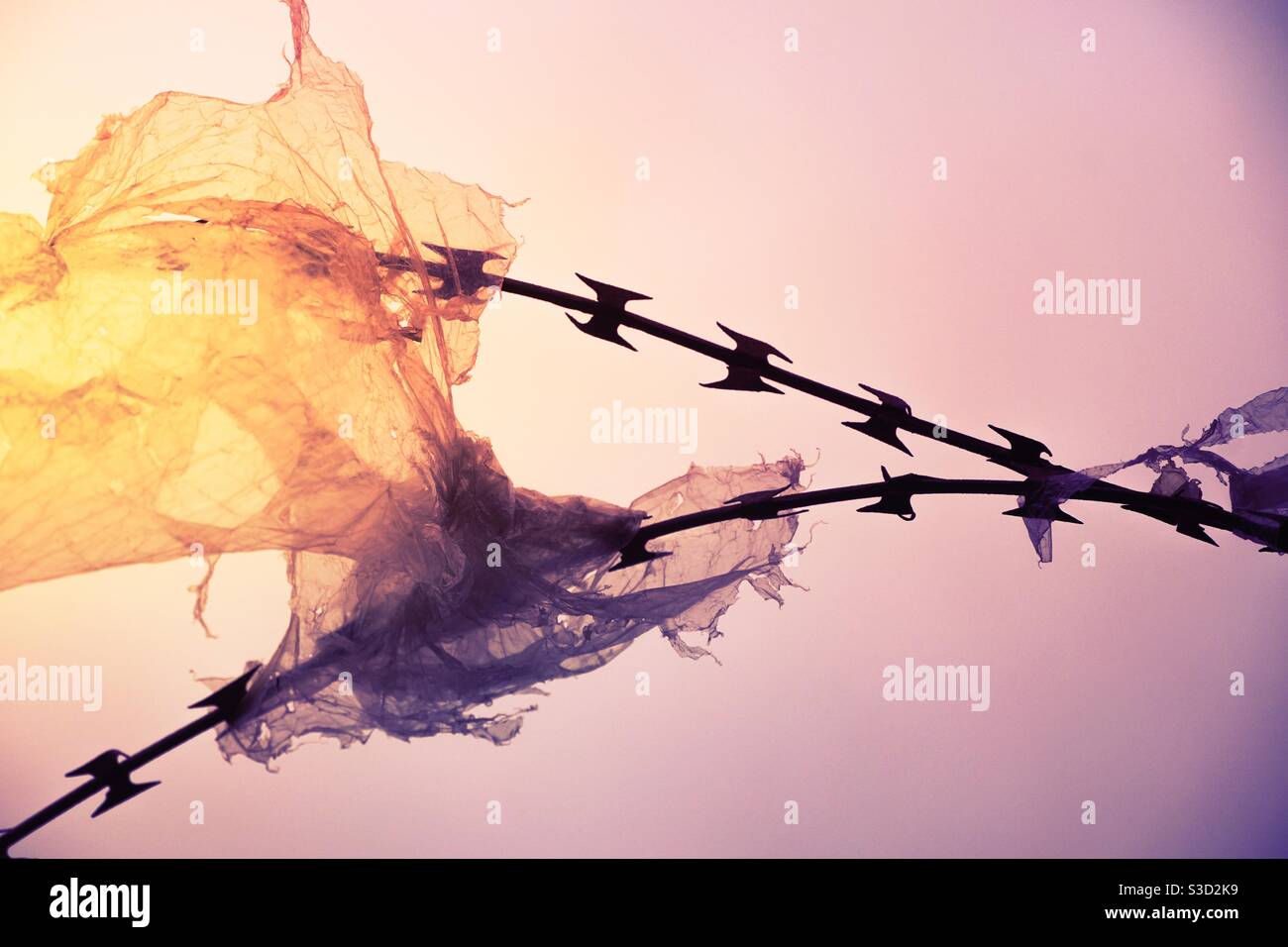 Schillernde Kunststoff gefangen auf harten Rasierdraht kontrastierenden weich und Hart - Smartphone-aufgenommenes Stockfoto