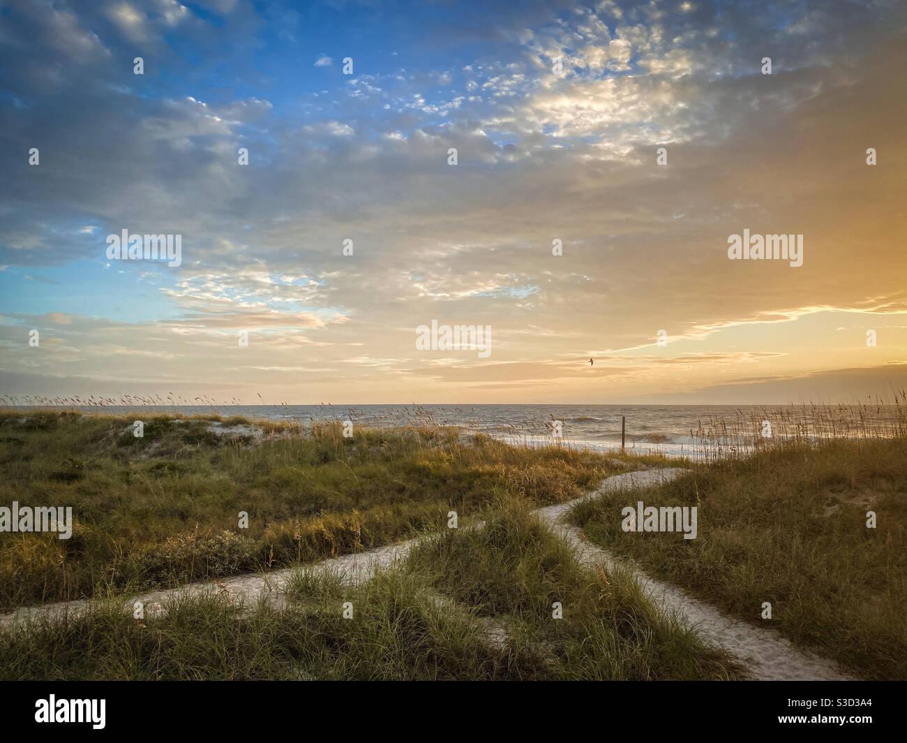 Schöner Strandaufgang durch die Sanddünen auf Amelia Island in Florida. Stockfoto