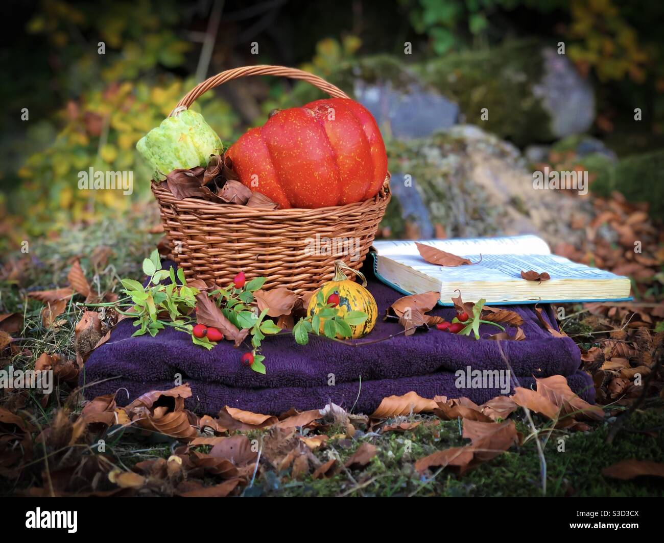 Stillleben im Herbst: Holzkorb mit Kürbissen und Früchten und ein Buch auf braunen Blättern, die auf den Boden gefallen sind Stockfoto