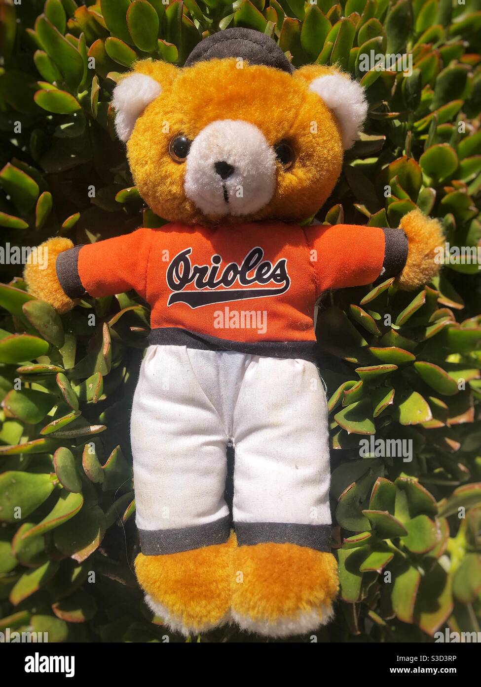 Souvenir Bär von einem Orioles Baseball-Spiel in Baltimore in 1997 Stockfoto