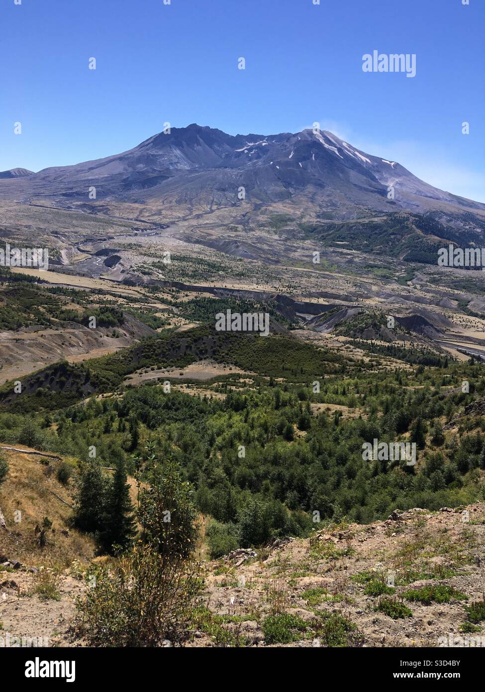 Mount Saint Helens Washington Stockfoto