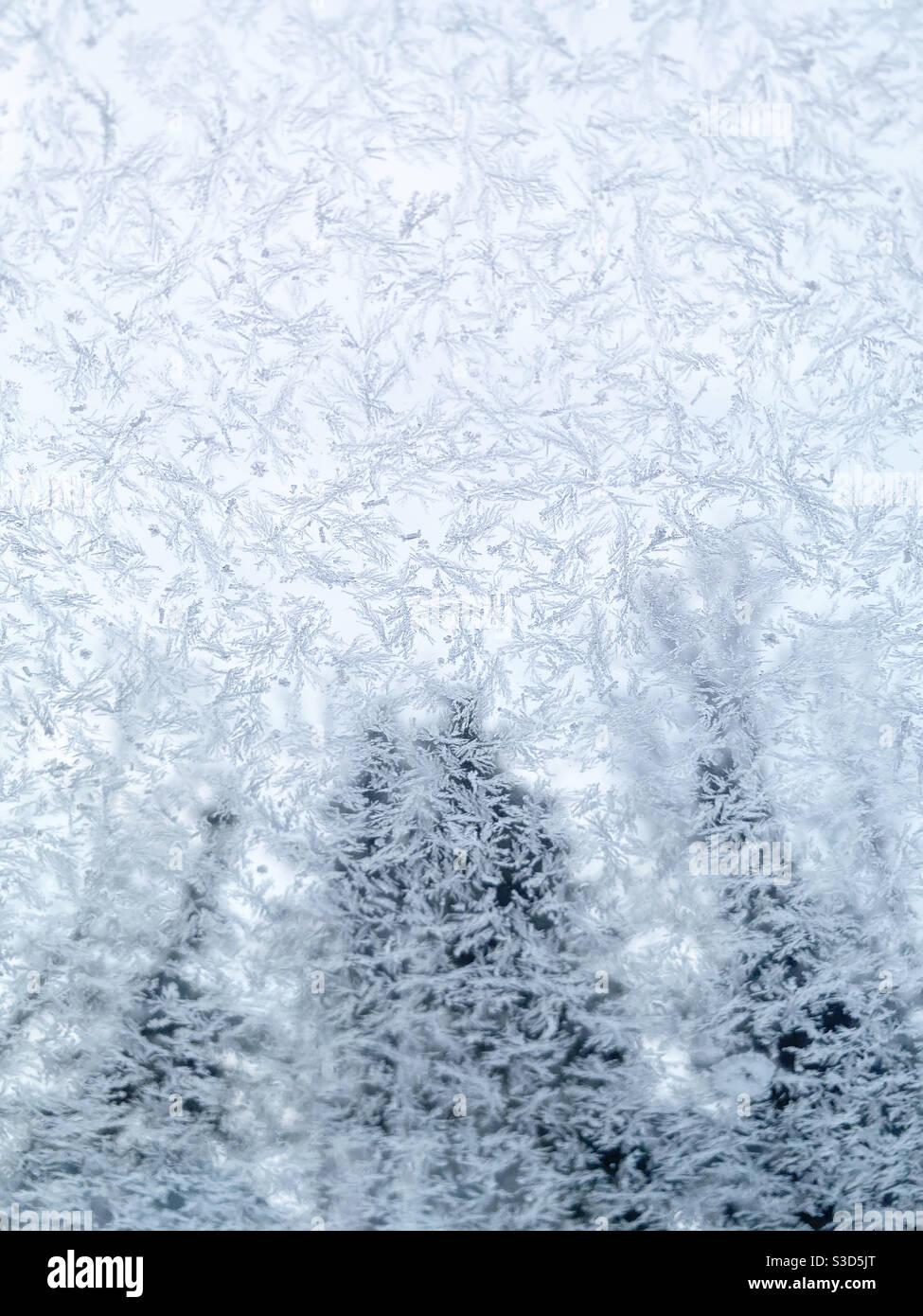 Frost am Fenster Stockfoto
