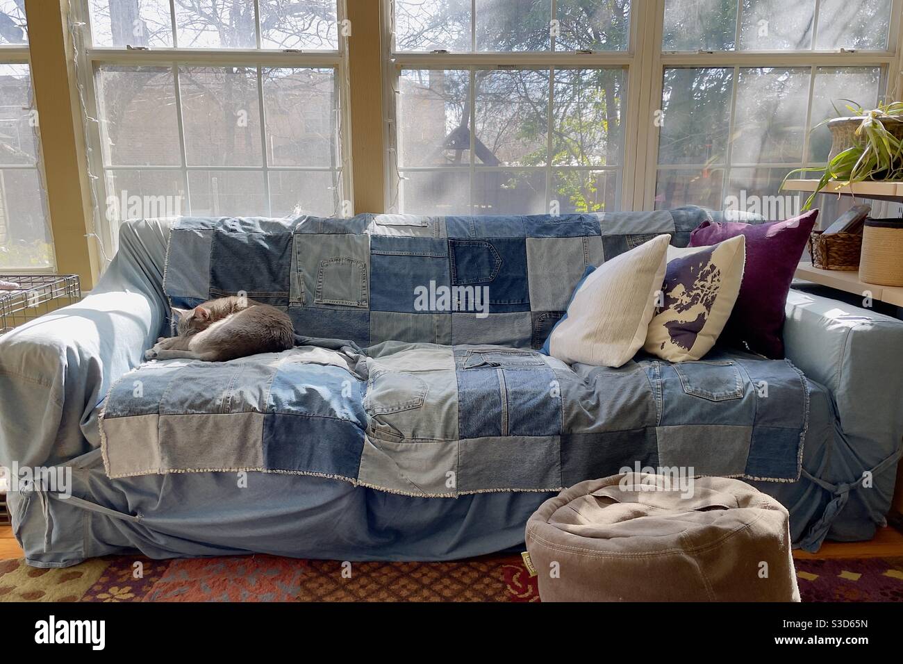Katze macht ein Nickerchen auf umfunktionierten Couch. Stockfoto