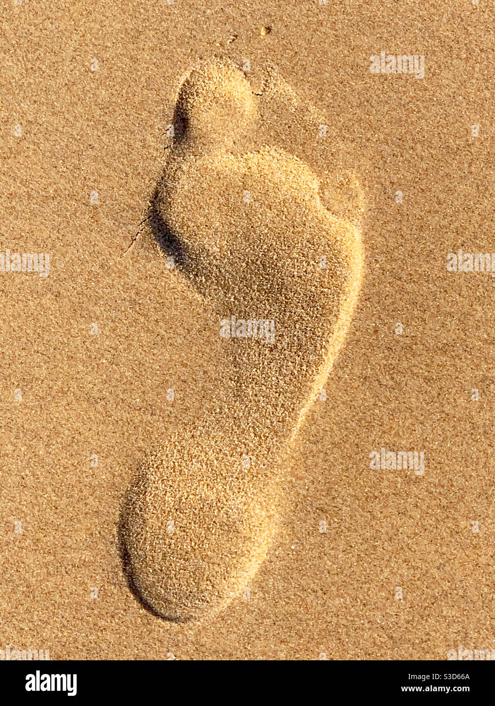 Fußabdruck im Sand . Rechter Fuß. Die optische Täuschung sieht aufgeworfen aus, wenn sie tatsächlich aufgedruckt ist Stockfoto