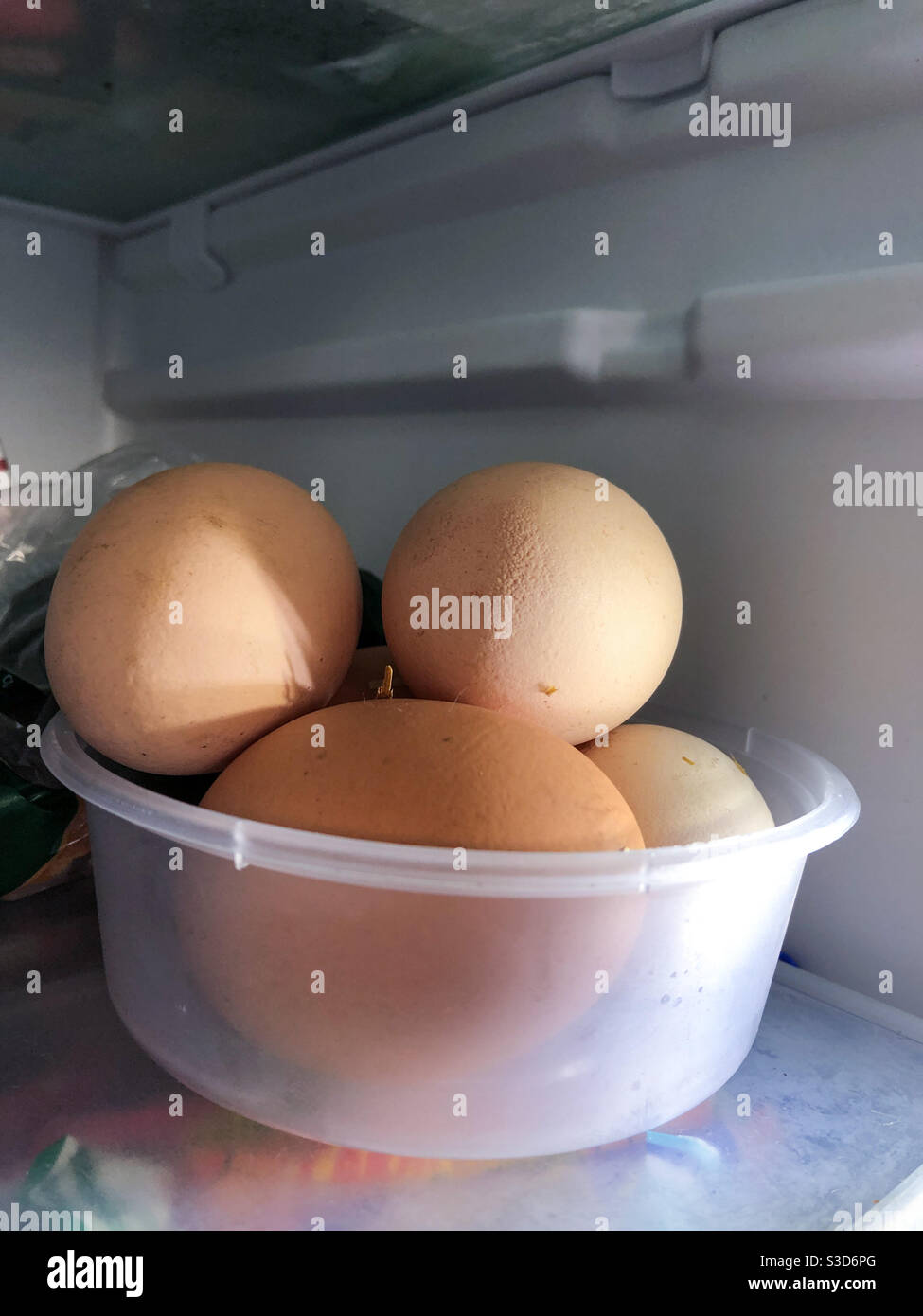 Frische Bio-Eier im Kühlschrank - Smartphone-aufgenommenes Stockfoto