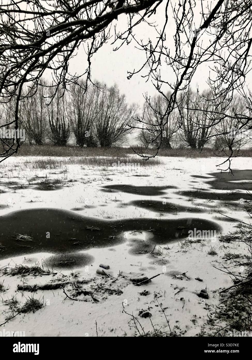 Überflutetes Feld mit Eis und Schnee - Smartphone-aufgenommenes Stockfoto