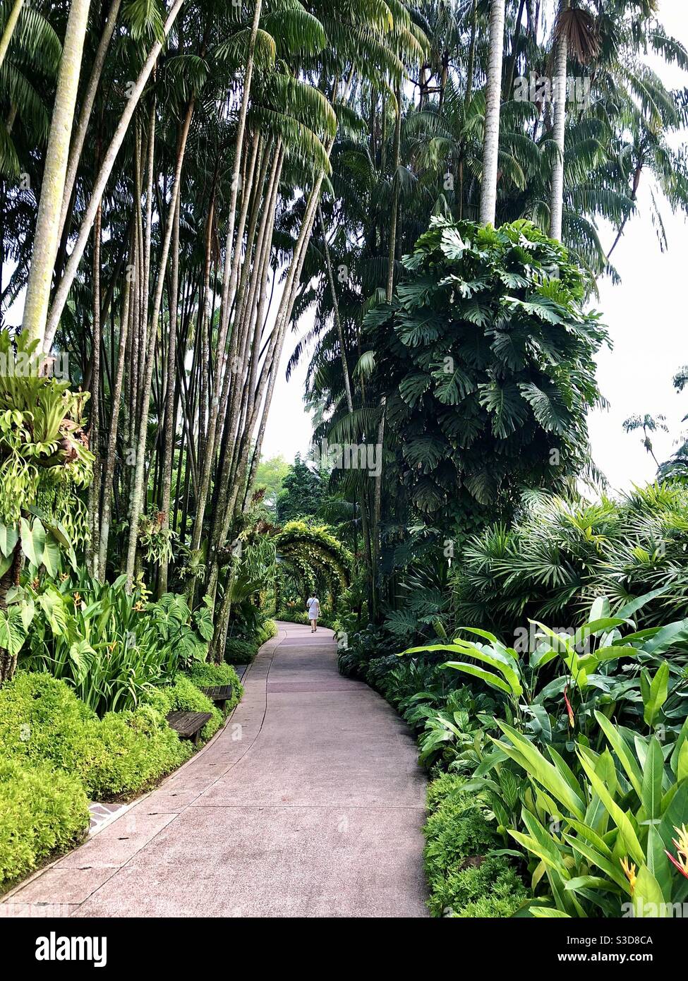 Nationalen Orchideengarten Singapur Stockfoto