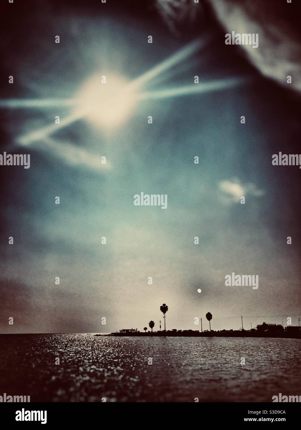 Meerblick und Palmen in der Ferne - Smartphone-aufgenommenes Stockfoto