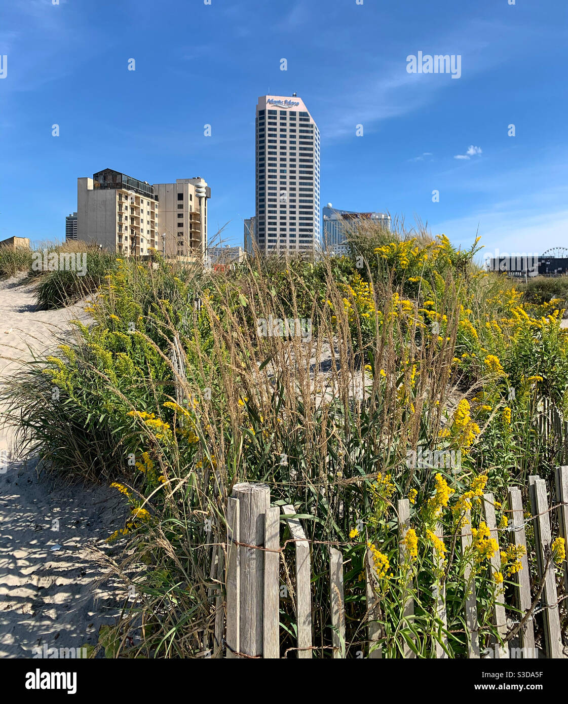 Blick vom Strand auf den Boardwalk, Atlantic City, New Jersey, USA Stockfoto