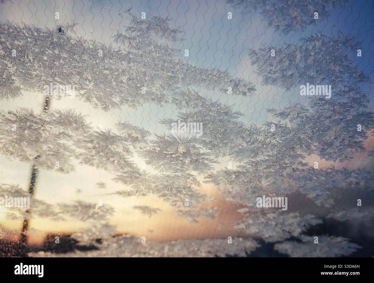 Ein Foto von Eispartikeln auf einer Windschutzscheibe mit einem sonnenaufgang und Telegrafenmast im Hintergrund - Smartphone-aufgenommenes Stockfoto