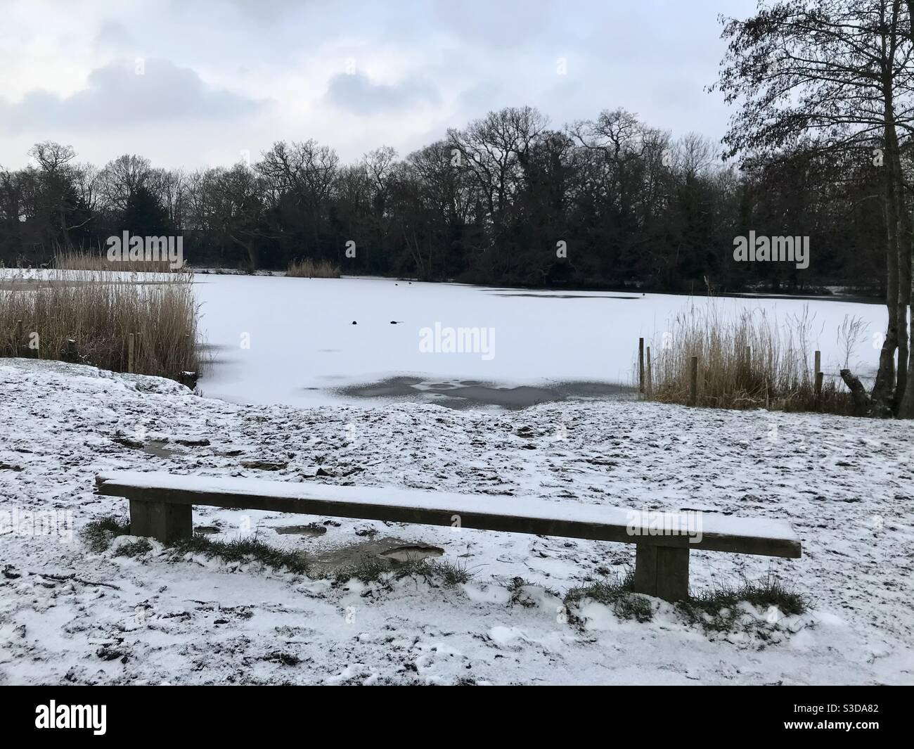 Bank am gefrorenen See Stockfoto