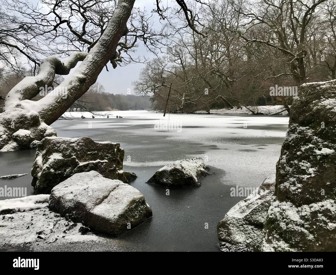 Winterlicher See Stockfoto
