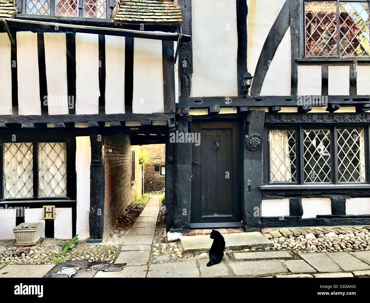 Schwarze Katze auf der Straße in der Nahrung eines Halbholzhauses, Rye, East Sussex, Südengland - Smartphone-aufgenommenes Stockfoto